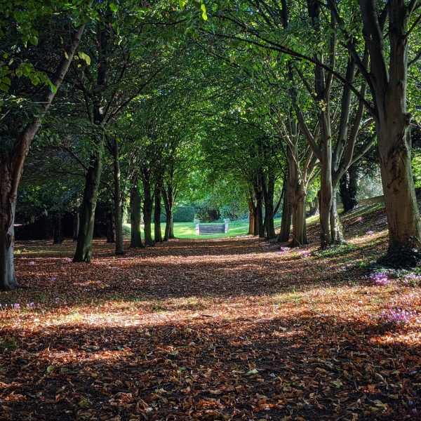 Saltmarshe Hall